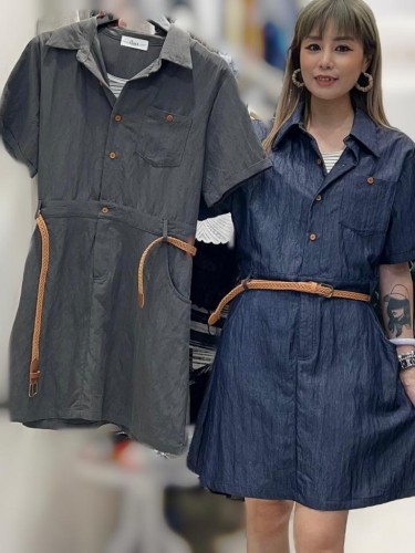 PA220 Short Shirt Dress